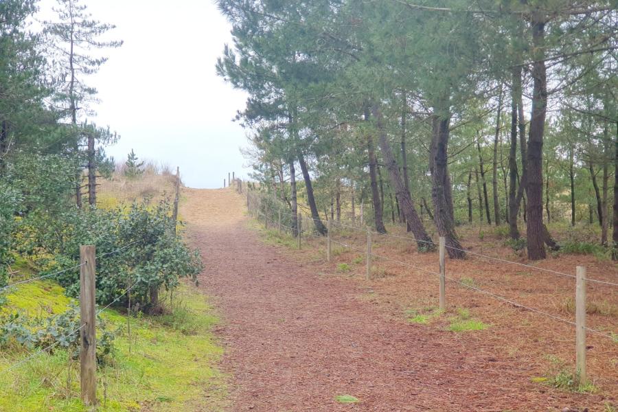 Photo 3 - Vente Appartement 2 pièce(s) - 46 m²