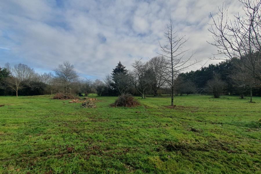 Vente Maison 7 pièce(s) - 174 m² | 465000 € Campbon Réf.VM9495-DOMINNO44 Photo 3 - Vente Maison 7 pièce(s) - 174 m²