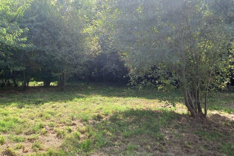 Vente Maison 3 pièce(s) - 110 m² | 133500 € Saint-Étienne-de-Montluc Réf.VM9617-DOMINNO44 Photo 5 - Vente Maison 3 pièce(s) - 110 m²