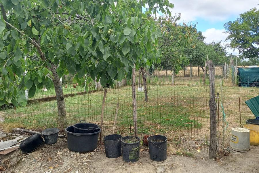 Vente Maison 7 pièce(s) - 126 m² | 572000 € Saint-Étienne-de-Montluc Réf.VM9630-DOMINNO44 Photo 10 - Vente Maison 7 pièce(s) - 126 m²