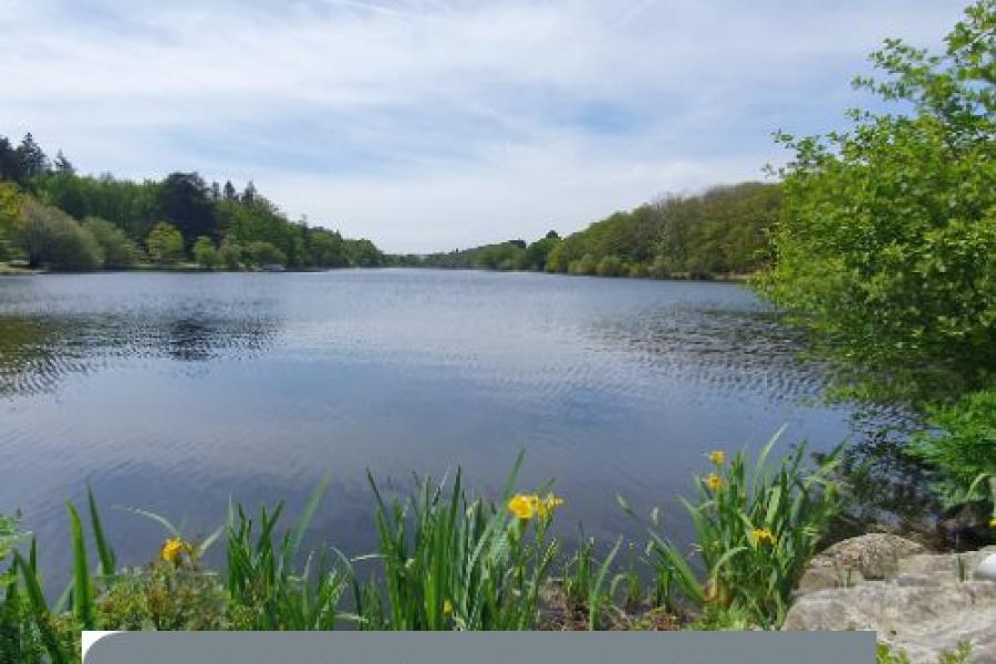 Vente Terrain | 138000 € Savenay Réf.VT1235-DOMINNO44 Photo 2 - Vente Terrain