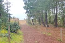 Photo 2 - Vente Appartement 2 pièce(s) - 46 m²