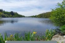 Vente Terrain | 138000 € Savenay Réf.VT1235-DOMINNO44 Photo 2 - Vente Terrain